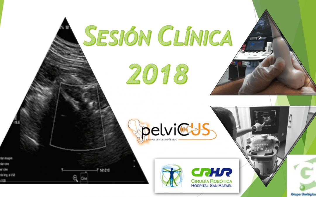 Sesión clínica 2018 hospital san rafael Madrid pelvicus y grupo urologico san rafael